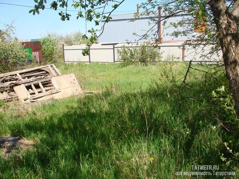 п. Константиновка, СНТ «Овощник-2».Земельный участок  5 соток, ровный, квадратный, с насаждениями: 5 яблонь, вишни.... - 4