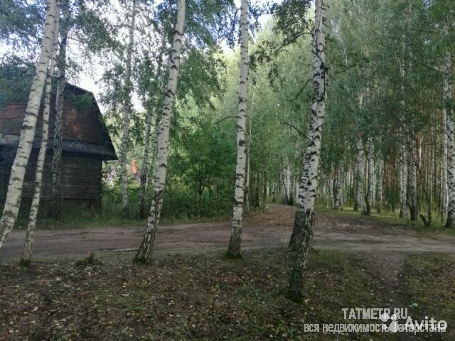 Продажа / Дома и коттеджи, Казань, СНТ Бытовик улица, 1 000 000 Орловка, СНТ Бытовик Уникальное место!! Угловой участок с выходом в лес. Не пропустите единственное предложение!!!...