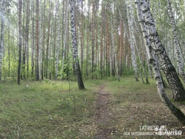 Продажа / Дома и коттеджи, Казань, СНТ Бытовик улица, 1 000 000 Орловка, СНТ Бытовик Уникальное место!! Угловой участок с выходом в лес. Не пропустите единственное предложение!!!... - 1