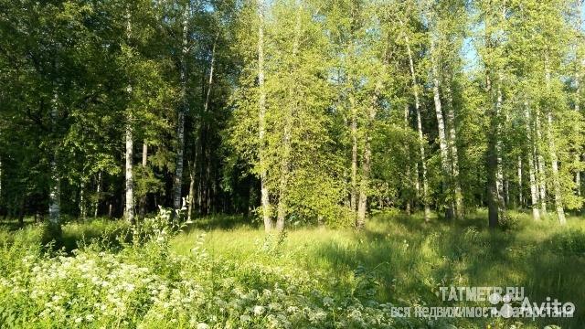 Интересное предложение!!! Напротив дома лесная зона!!! Уникальное место!!!Дом построен для себя в 2015... - 9