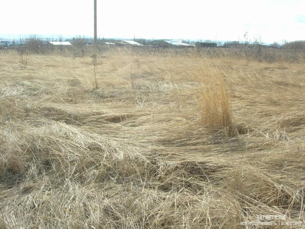 Продажа / Земельные участки, Нижние Вязовые, Лотфуллина улица, 250 000 Участок в пгт. Нижние Вязовые, находится на ровном месте. Участок прямоугольной формы, без насаждений. Рядом... - 1