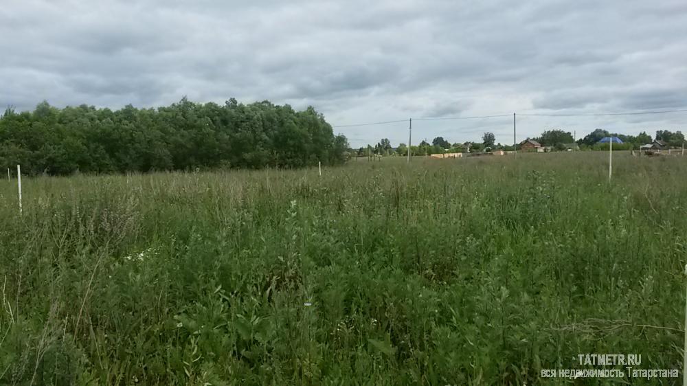 Хороший участок в пгт. Васильево, мкр. Молодежный, находится в экологически чистом месте, рядом река Сумка. Хорошие...