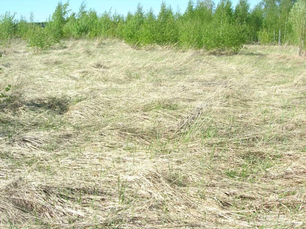 Продажа / Земельные участки, Нижние Вязовые, Светлая улица, 250 000 Участок ровный, квадратной формы в пгт. Нижние Вязовые, находится на возвышенном месте, напротив березовая роща.... - 1