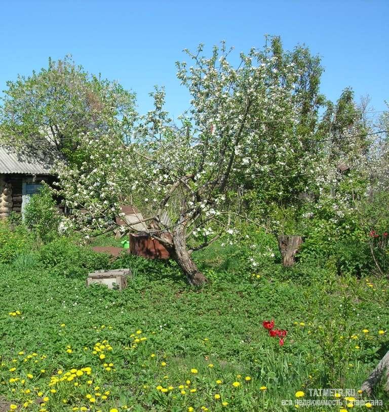 Продажа / Дома и коттеджи, Нижние Вязовые, 1-я Железнодорожная улица, 850 000 Дом в пгт. Нижние Вязовые. Дом в хорошем состоянии, есть газовое отопление, свет, вода в доме - из собственной... - 6