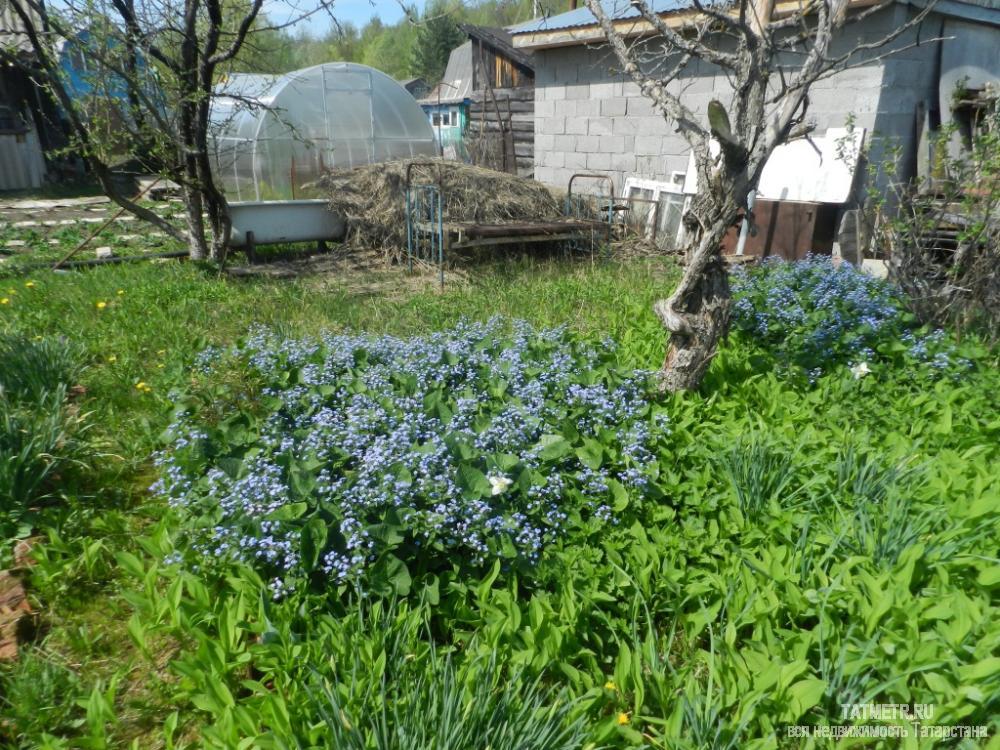 Отличная двухэтажная дача, расположена в экологически чистом районе поселка Васильево. Очень ухоженный, ровный... - 3