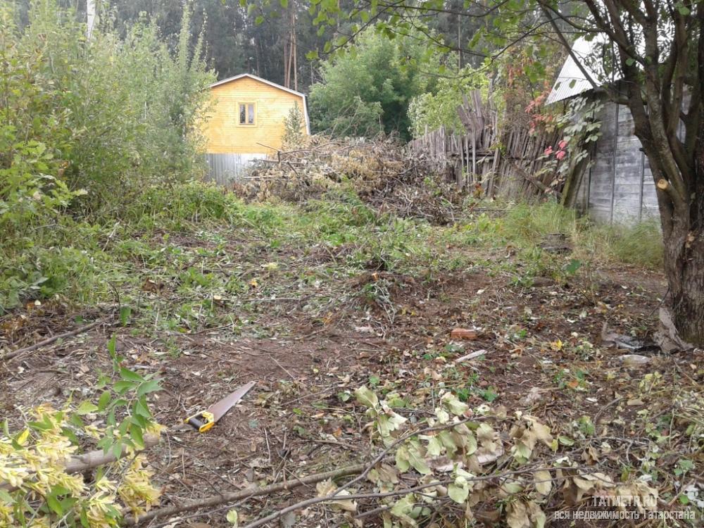 Продажа / Дачи, Красный Яр, с/о Атлашкино-2, 120 000 Замечательный дачный участок в с/о Атлашкино-2, в д.Красный Яр (ж/д станция Атлашкино). Участок прямоугольной формы,... - 1