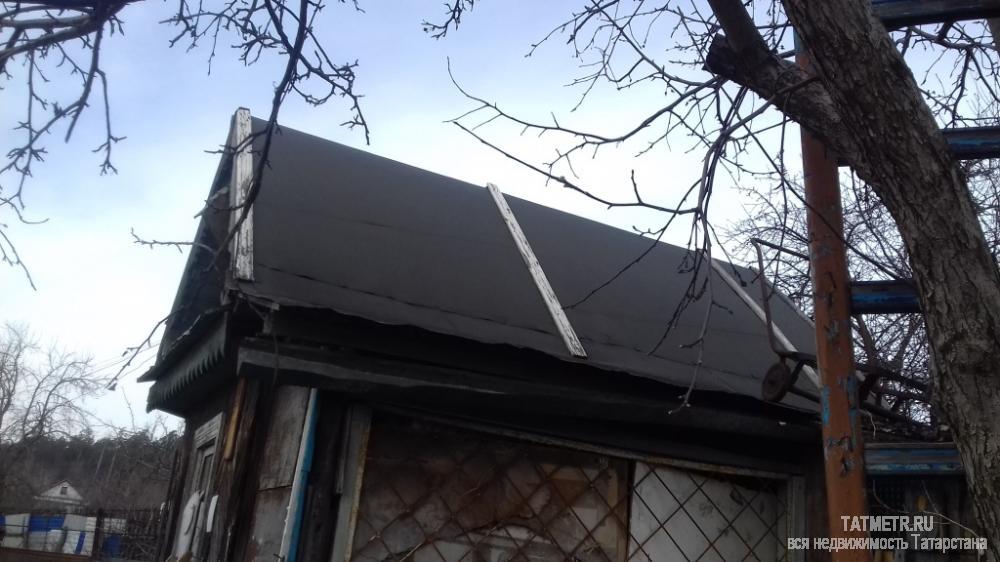 Продажа / Дачи, Зеленодольск, с/о Мичурина, 250 000 Отличная дача в черте города Зеленодольск. Огород ухоженный, свет и вода на участке. Плодоносящие деревья и...