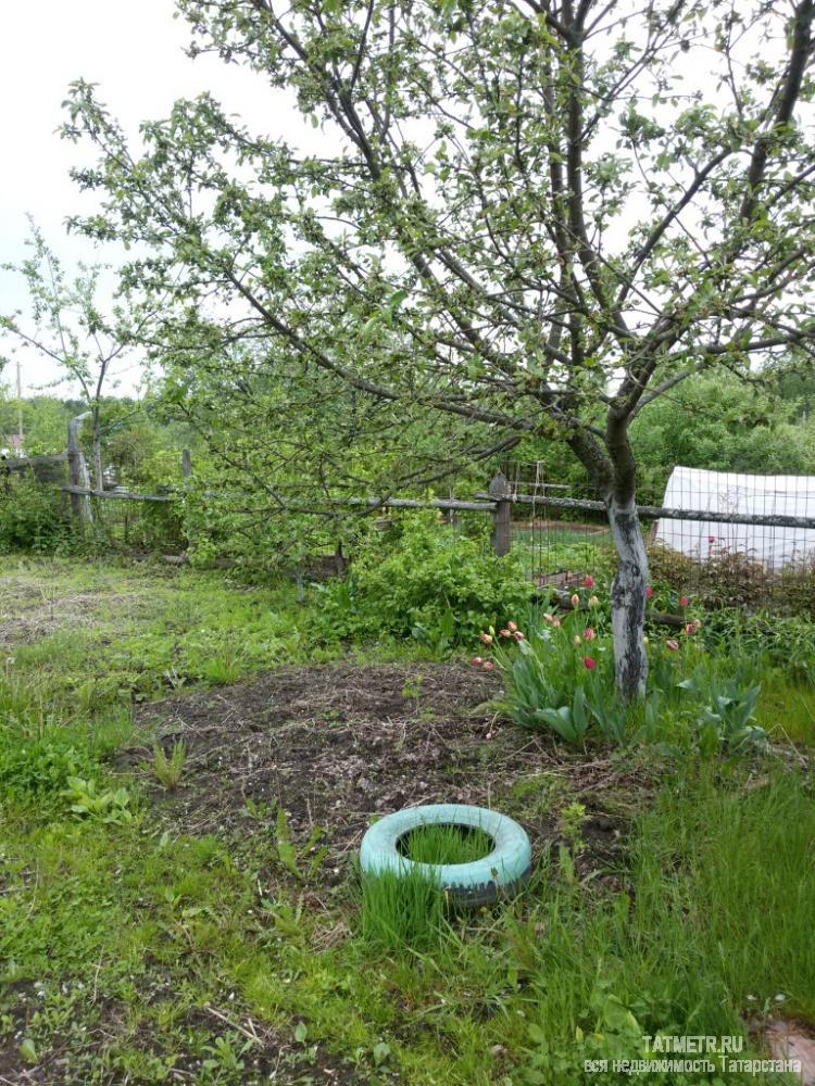 Продажа / Дачи, Зеленодольск, 150 000 Отличная дача в г. Зеленодольск. Ровный, ухоженный участок со множеством насаждений. На участке дом, сарай, туалет....