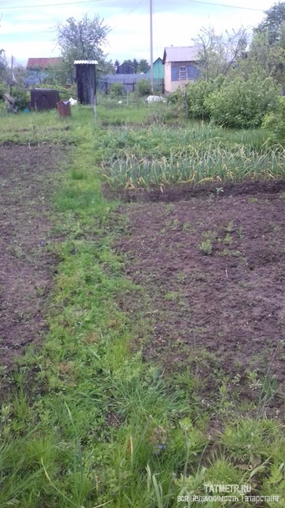 Продажа / Дачи, Зеленодольск, 150 000 Дача в г. Зеленодольск. Участок ровный, ухоженный, имеются насаждения: яблоня, смородина, сортовая малина, виктория....
