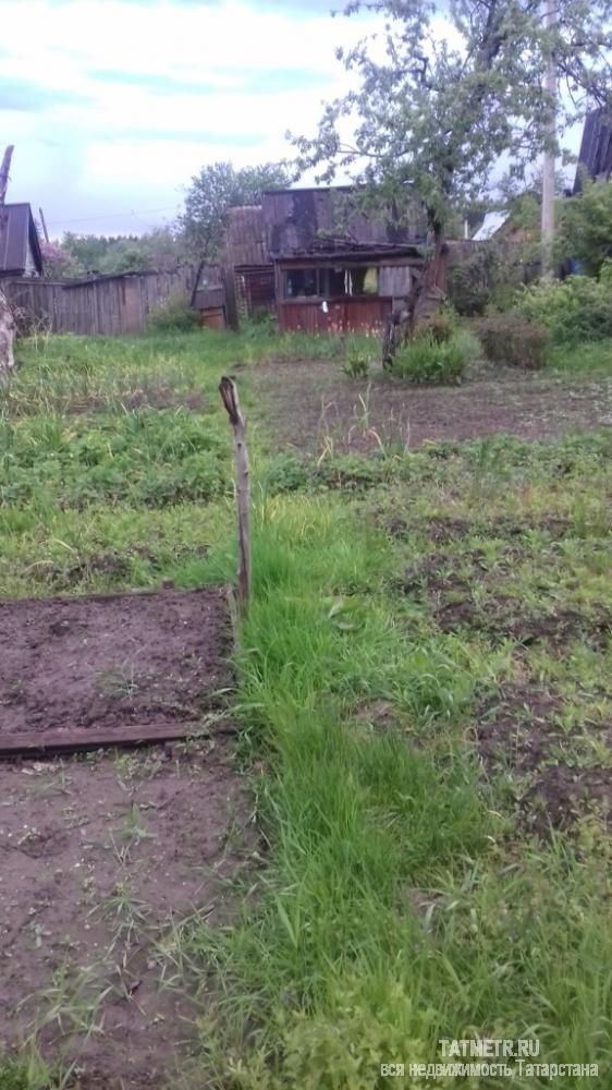 Продажа / Дачи, Зеленодольск, 150 000 Дача в г. Зеленодольск. Участок ровный, ухоженный, имеются насаждения: яблоня, смородина, сортовая малина, виктория.... - 3