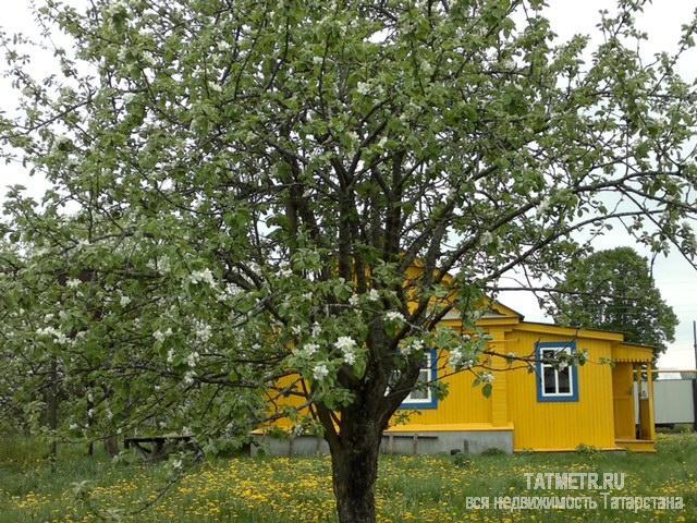 Продажа / Земельные участки, Альметьевск, 5 000 000 Участок расположен недалеко от города в живописном месте, рядом речка, имеется строение.