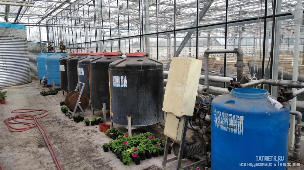 Коммерческая / Продажа / Производство и склады, Богородское, 116 000 000 Продается имущественный комплекс расположенный на Федеральное трассе М7 в Пестричинском районе, село Богордское.... - 5