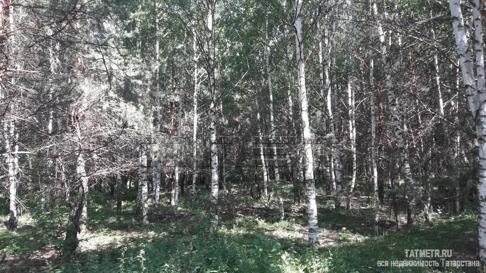 Продажа / Дома и коттеджи, Казань, Иман улица (Вознесенское), 5 900 000 Одно из самых красивых мест для жилья в черте города!!! Советский район, пос. Вознесенье, ул. Иман. Тихое, спокойное,... - 16