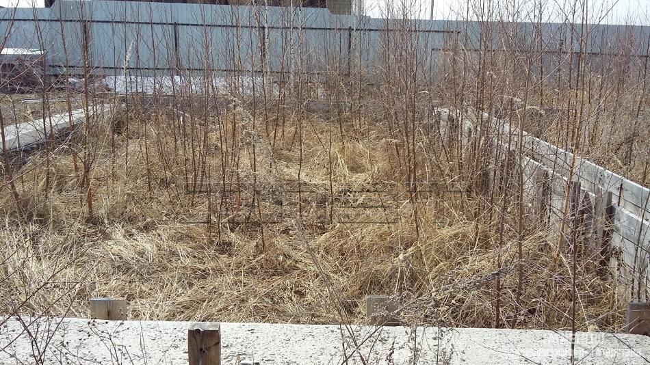 Продажа / Земельные участки, Казань, Ягодная улица, 1 400 000 Продаю землю в поселке Куюки 12 соток по адресу ул.Ягодная . Земля ровная, прямоугольная. Можно разделить на два... - 1