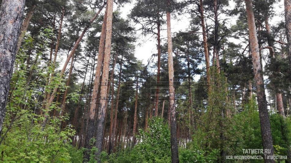 Продажа / Дома и коттеджи, Казань, Еловая улица, 2 050 000 Продается одноэтажный жилой дом в Новом Аракчино, ул. Еловая рядом с сосновым лесом (позади дома располагается... - 7