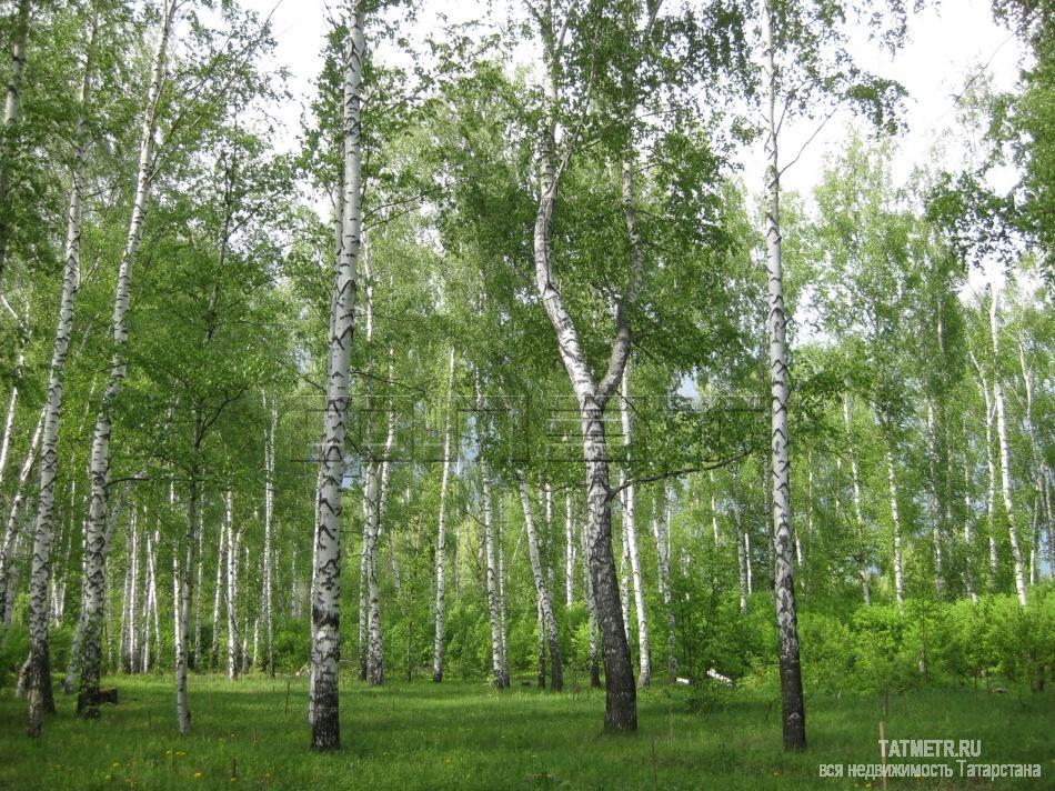 Продажа / Земельные участки, Казань, снт. СДТ Овощник, 450 000 Продается участок 5,5соток с бревенчатой постройкой в с/о Овощник 2 в 30 метрах от березовой рощи в черте города....