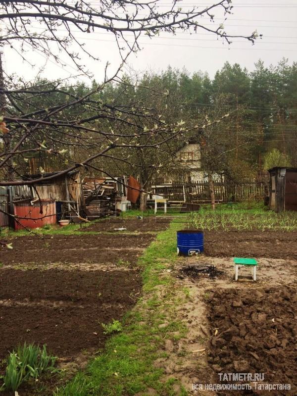 Продажа / Дачи, Зеленодольск, Пасека садоводчество-2, 400 000 Зеленодольск, Зеленый дол, СТ Пасека продается отличная двухэтажная дача на участке 3 сотки, имеется кустарники,... - 3