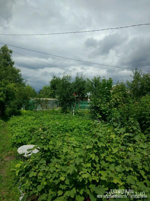 Продажа / Земельные участки, Верхний Услон, снт. СНТ Родник, 200 000 Отличное предложения !!!! Хотите жить на свежем воздухе .Слышать пенье птиц ,наслаждаться красотой природы .Тогда... - 1
