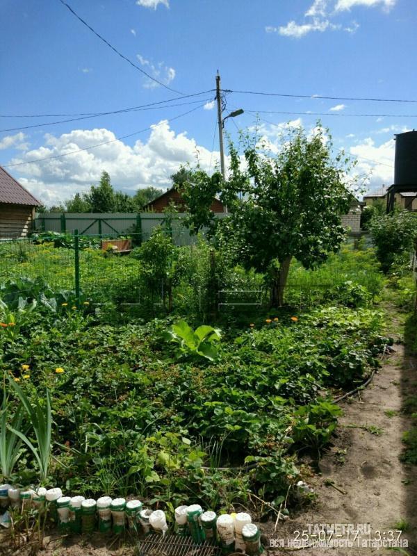 Продажа / Земельные участки, Верхний Услон, снт. СНТ Родник, 200 000 Отличное предложения !!!! Хотите жить на свежем воздухе .Слышать пенье птиц ,наслаждаться красотой природы .Тогда... - 2