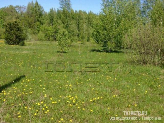 Продажа / Земельные участки, Казань, тракт. Мамадышский, 1 000 000 В пос. Новое Шигалеево в живописном Пестречинском районе в с/о «Горизонт-Родник» , в 9 км от Казани продается ровный...
