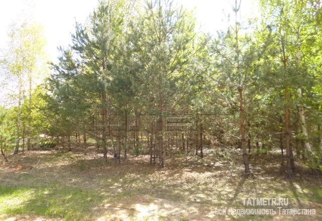 Продажа / Земельные участки, Лаишево, Грибная улица, 1 600 000 Продам земельный участок 15 соток! Новый Элитный коттеджный поселок Орел Гарден ул.Грибная,13, Лаишевский район, 25...