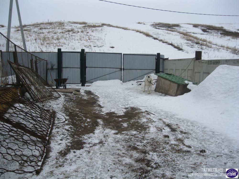 Продажа / Дома и коттеджи, Новошешминск, Шмидта улица, 2 700 000 Чистая продажа, документы готовы, можно заехать и жить , участок 32 сотки , плюс пасека 3 сотки, гаража, гостевой... - 23