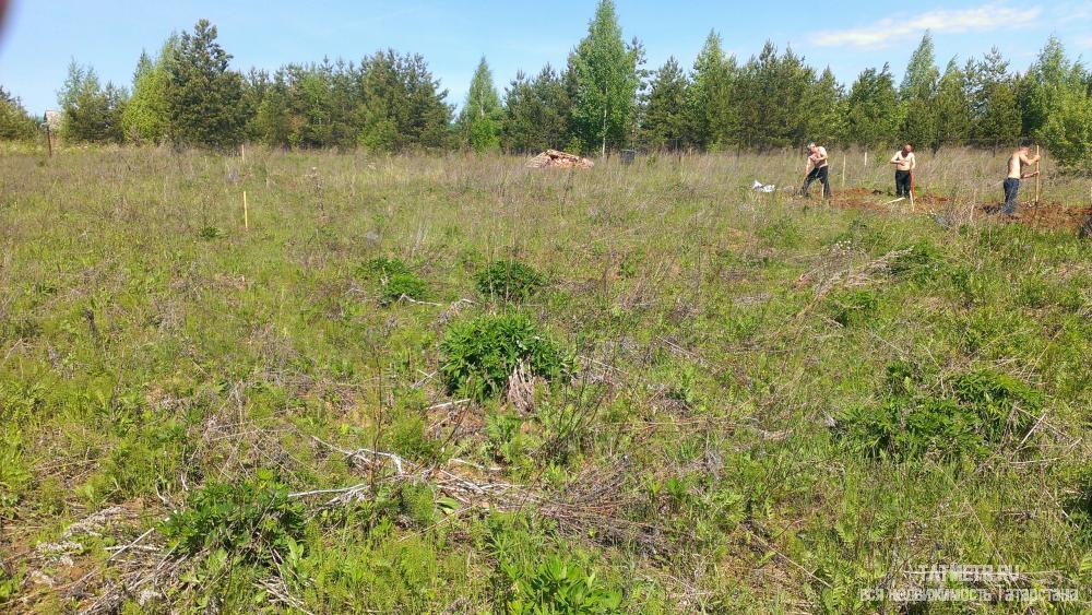 Продам земельный участок в СО' Волжаночка' Верхнеуслонского района общей площадью 8,5 соток, ровный прямоугольный,... - 3