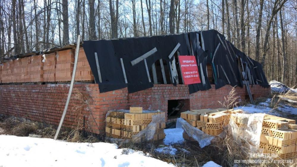 Продается земельный участок в красивой лесной зоне Петровского по границе земель лесного хозяйства в собственности.... - 4