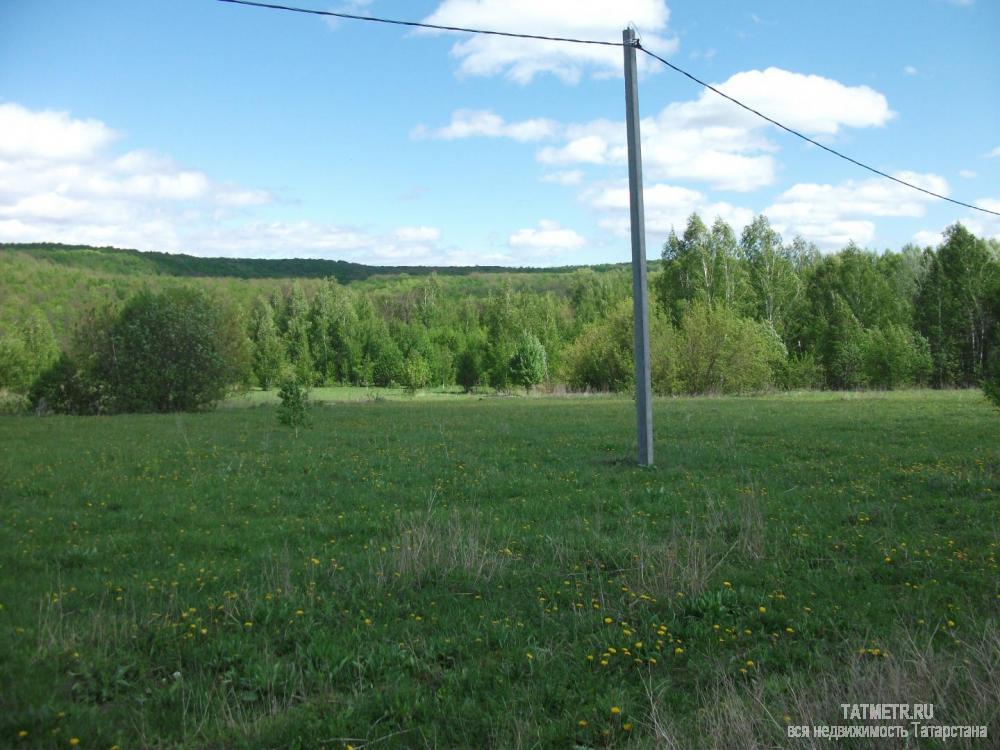 Продажа / Земельные участки, Набережные Моркваши, 540 000 Набережные Моркваши, продается участок, 6 соток, Продаются участки ИЖС в Набережных Морквашах от 6 до 50 соток под... - 1