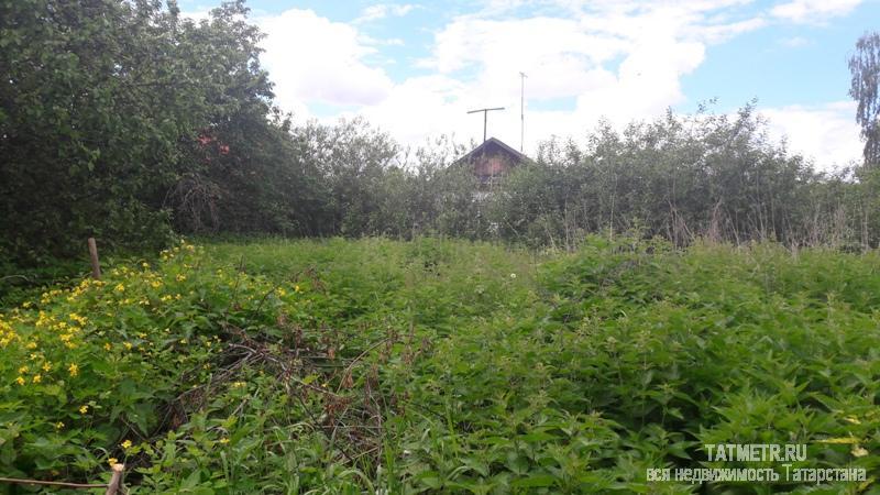 Продажа / Дома и коттеджи, Васильево, Мичурина улица, 1 799 000 Васильево, улица Мичурина , продается дом, 8 соток, общ. пл. дома 77 кв.м., муниципальный ремонт, Продаю 1 этажный... - 14