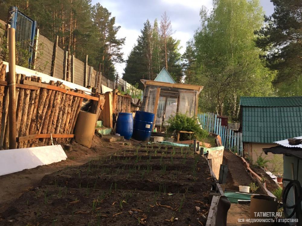 Продажа / Дачи, Кульсеитово, 850 000 садоводческое товарищество Солнечный город, продается дача, 4 соток, общ. пл. дома 40 кв.м., Продается деревянный... - 9