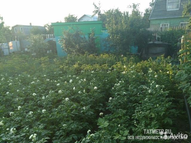 Продажа / Дачи, Казань, 900 000 Продаем отличную дачу в черте города в Советском районе, снт при республиканской санэпидстанции с/т 'РСЭС', Участок... - 4
