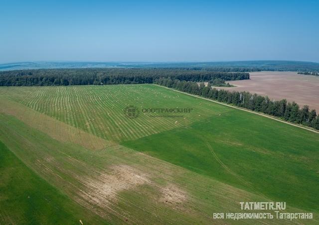 Продажа / Земельные участки, Лаишево, 108 000 000 Предлагаем купить земельный участок в Лаишевском муниципальном районе, в г. Лаишево. Город расположен на реке Кама,...