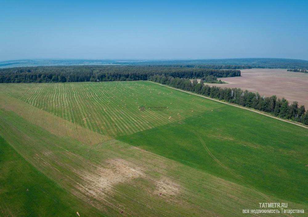 Продажа / Земельные участки, Лаишево, 108 000 000 Предлагаем купить земельный участок в Лаишевском муниципальном районе, в г. Лаишево. Город расположен на реке Кама,... - 4