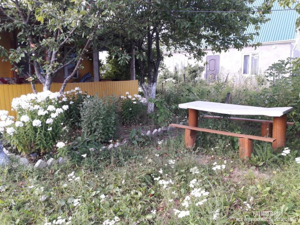 Дачный домик 60 кв.м. на участке 4,75 соток. Свет в домике, вода на участке. Участок ровный. На участке зона отдыха,... - 6
