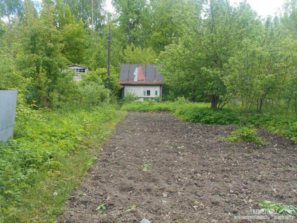 Продажа / Дачи, Красный Яр, с/о Березка-2, 250 000 Отличная дача в экологически чистом районе с/о Березка-2 в д. Красный Яр. Домик уютный, ухоженныйУчасток ровный,...