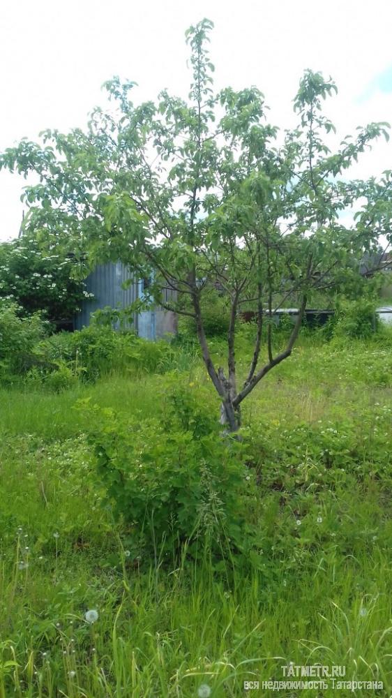 Продажа / Дачи, Зеленодольск, с/о Гари, 245 000 Отличная дача в черте г. Зеленодольск, двухэтажный дом, плодородная земля. Имеется новая теплица. Множество... - 2