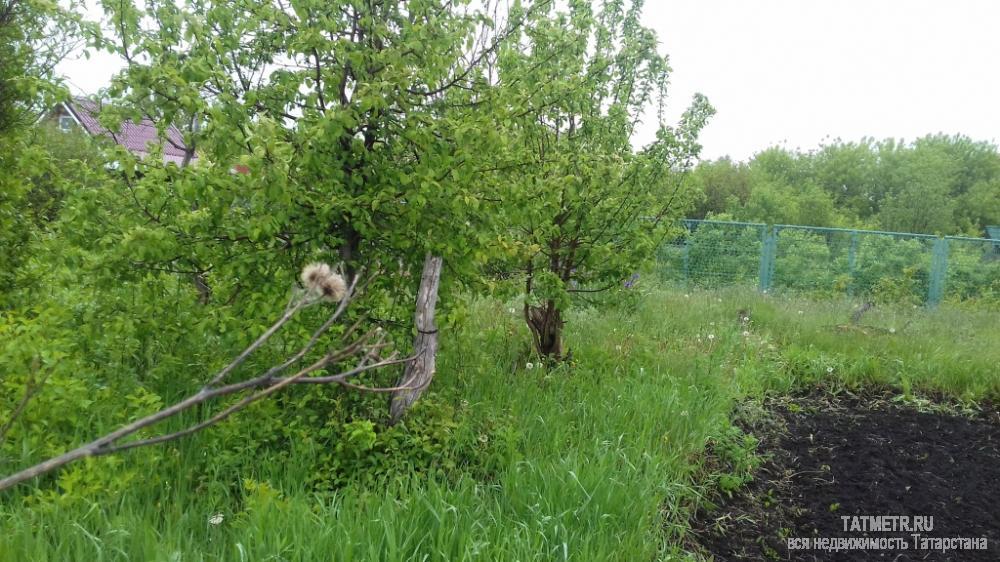 Сказочная природа, крепкий двухэтажный дом, своя глубокая скважина, множество насаждений на прямоугольном ровном... - 3