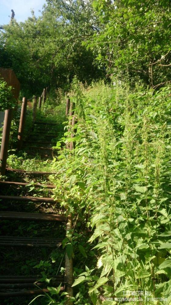 Продажа / Дачи, Зеленодольск, с/о Мичурина, 120 000 Хороший дачный участок в г. Зеленодольск. На участке имеется плодовые ягодные насаждения, а также есть небольшой... - 1