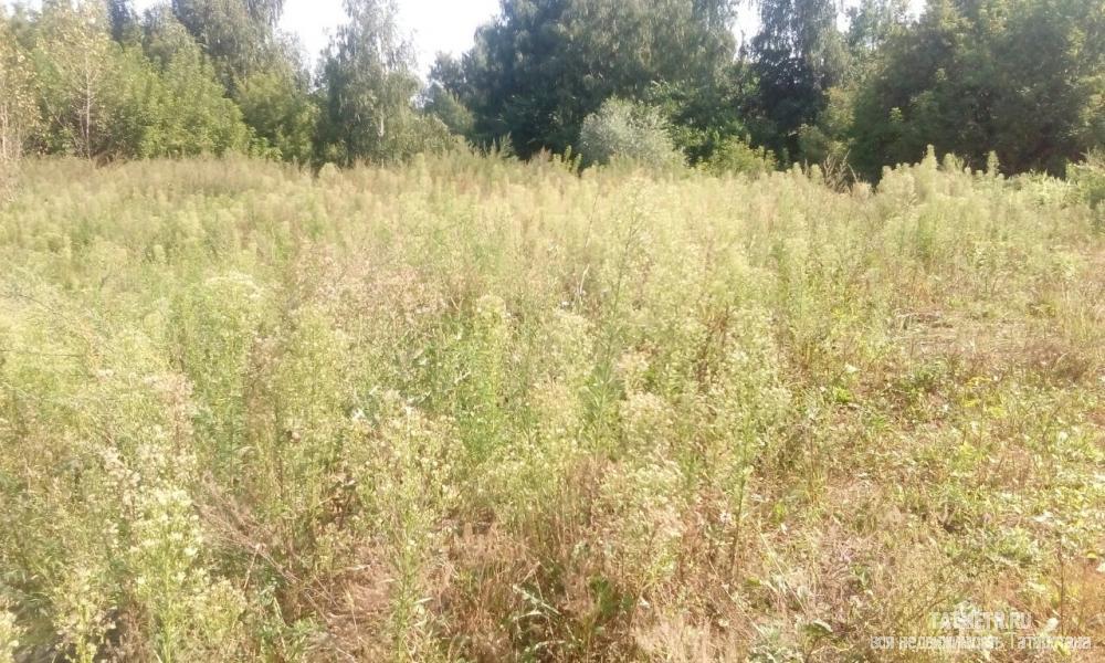Продажа / Земельные участки, Зеленодольск, Островского улица, 2 290 000 Отличный участок в г. Зеленодольск под строительство жилого дома. Участок ровный, прямоугольной формы, с капитальным...