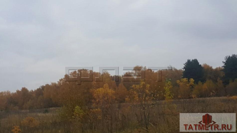 Продажа / Квартиры, Казань, Оренбургский тракт, 1 699 000 Приволжский район, ул. Оренбургский тракт, ЖК 'Сказочный Лес', дом ' Ясень' 2.3 Квартира- студия. Несколько... - 5