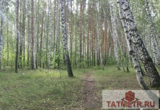 Продажа / Дома и коттеджи, Лаишево, 1 000 000 Не пропустите единственное предложение!!! Орловка, СНТ Бытовик. Предлагается к продаже участок с выходом в лес, в... - 2
