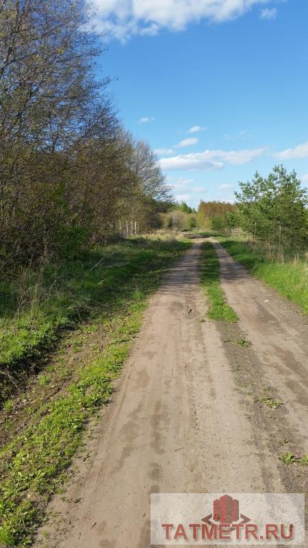 Продажа / Земельные участки, Тетеево, Сдт Алма, 450 000 Земельный участок расположен в живописном , экологически чистом месте, в нст «Алма» пос.Тетеево. Участок ровный... - 1