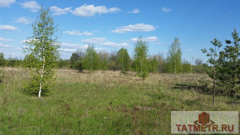 Продажа / Земельные участки, Тетеево, Сдт Алма, 450 000 Земельный участок расположен в живописном , экологически чистом месте, в нст «Алма» пос.Тетеево. Участок ровный... - 4