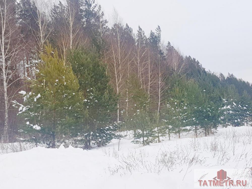 Продажа / Земельные участки, Зимняя Горка, 899 000 Продается земельный участок правильной прямоугольной формы ( 7 соток), на котором Вы самостоятельно сможете... - 2