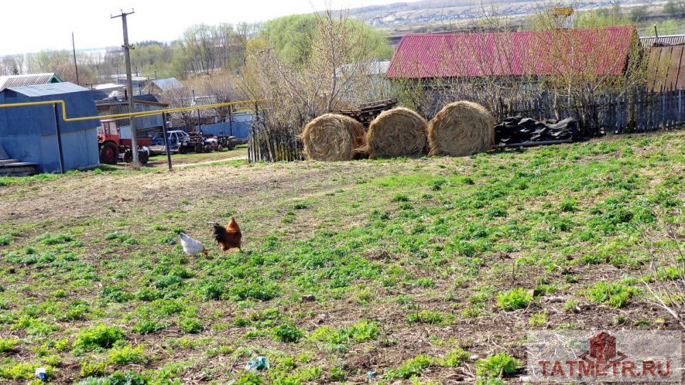 Продажа / Земельные участки, Русский Ошняк, Зеленая улица, 650 000 Продается земельный участок (Категория 'Земли населенных пунктов' для ведения 'личного подсобного хозяйства') 10... - 6