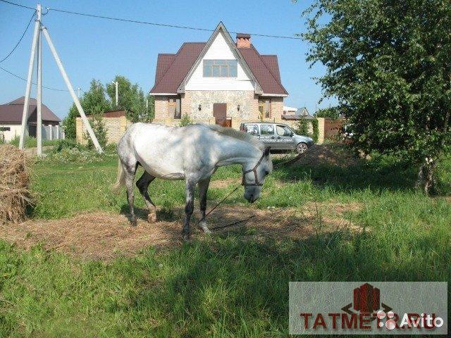 Продажа / Дома и коттеджи, Малые Кабаны, Телеграфная улица, 6 500 000 Необычный дом с уникальными характеристиками. Рядом с Казанью в 10 км от възда расположился на тупиковой улице... - 2