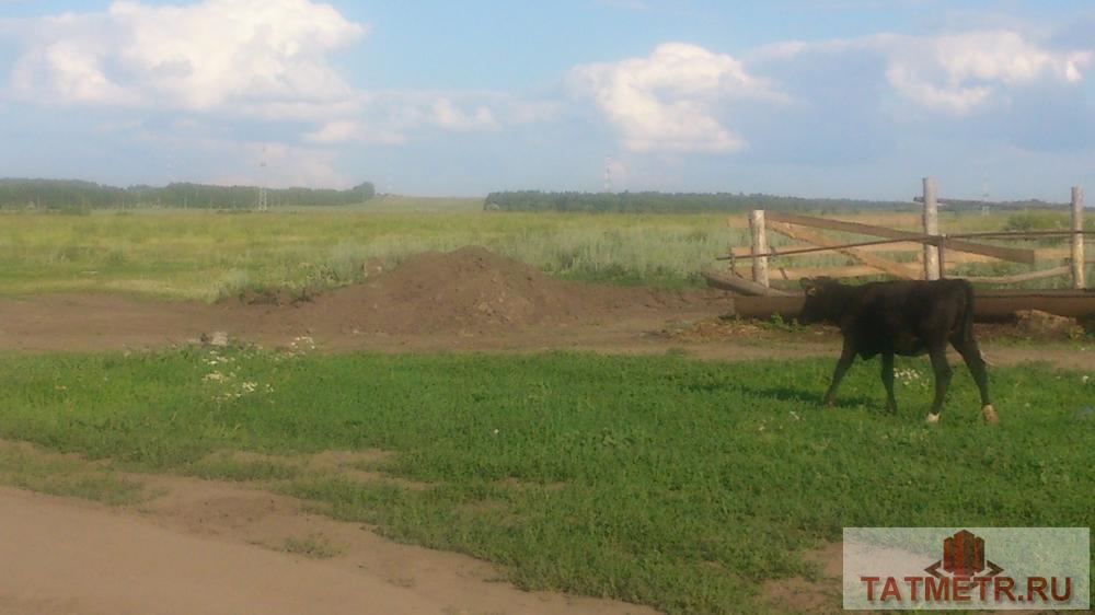 Продажа / Земельные участки, Богородское, Полевая улица, 1 600 000 - 7
