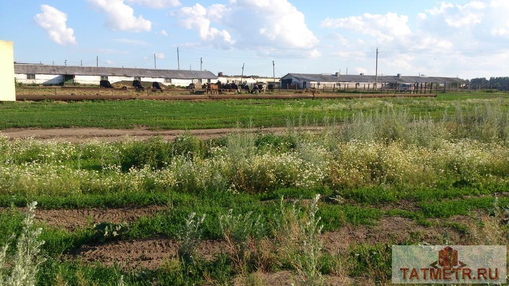 Продажа / Земельные участки, Богородское, Полевая улица, 1 600 000 - 8
