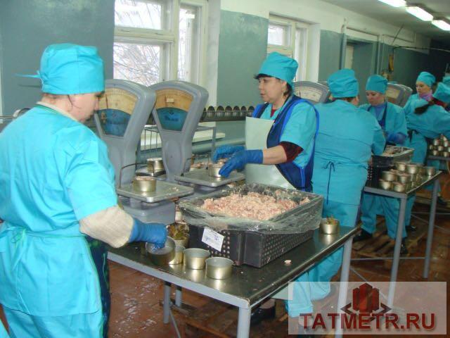 Коммерческая / Продажа / Производство и склады, Казань, Советская улица, 12 000 000 Предлагает Вам рассмотреть в качестве готового бизнеса мясоперерабатывающий завод. Предприятие расположено в... - 2